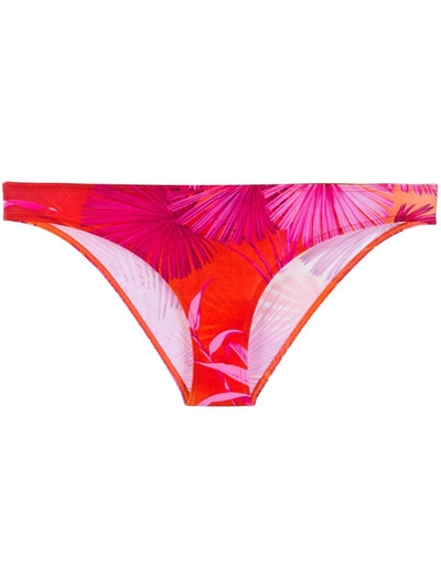 Versace Jungle Bikini Bottoms In Orange