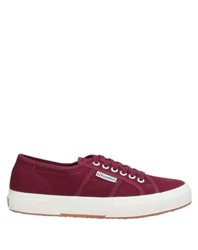 Superga Sneakers In Maroon
