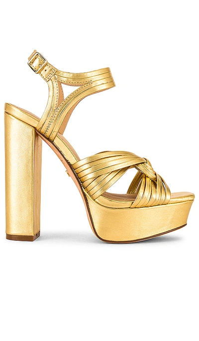 Rachel Zoe Strappy Platform Sandal In Gold