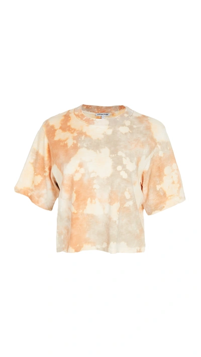 Cotton Citizen Acid-wash Tokyo Cropped T-shirt In Truffle Haze