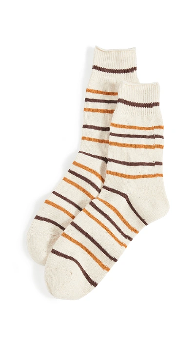 Anonymous Ism Re Cotton Stripe 3q Socks In Brown Mist