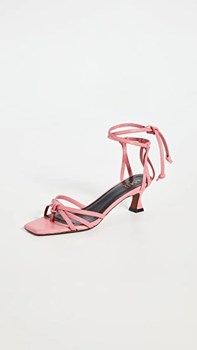 Manu Atelier Lace Sandals In Rothko Pink