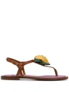 Dolce & Gabbana Flower Detail Leather Thong Sandals In Brown