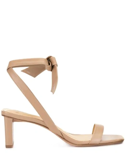 Alexandre Birman Katie Bow-embellished Leather Sandals In Brown