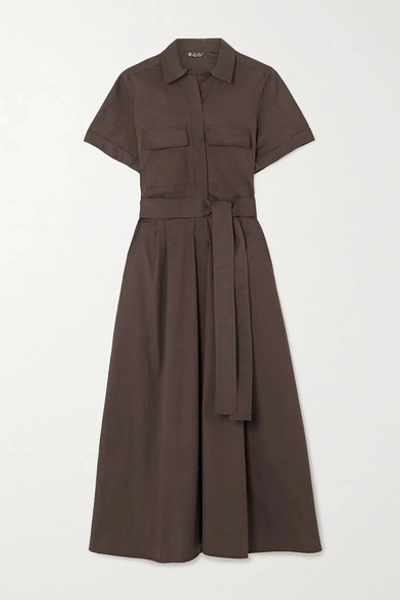 Loro Piana Belted Stretch-cotton Poplin Midi Shirt Dress In Brown