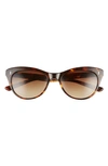 Salt Hillier 55mm Polarized Cat Eye Sunglasses In Toasted Toffee