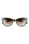 Salt Hillier 55mm Polarized Cat Eye Sunglasses In Black