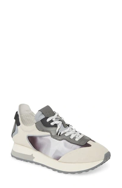 Ash Tiger Colorblock Trainer Sneakers In Salt/ Grey/ Multi