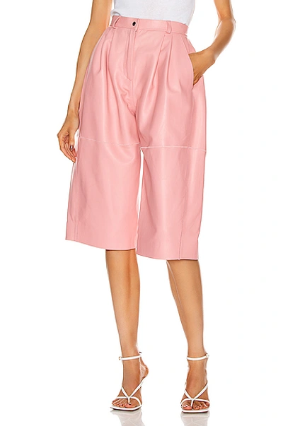 Carmen March Leather Trouser Short In Light Pink