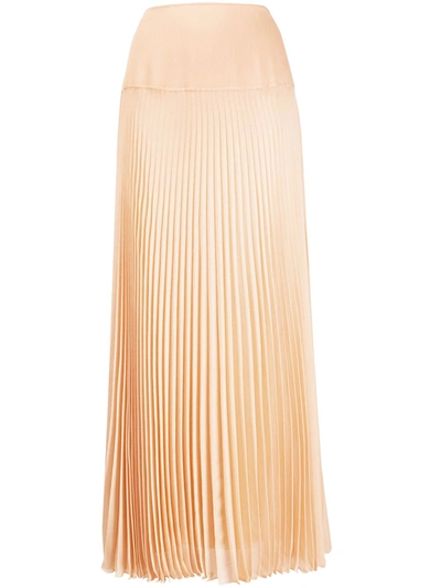 Chloé Pleated Long Skirt In Pink