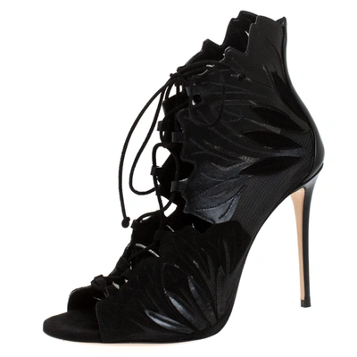 Pre-owned Casadei Black Laser Cut Mesh, Suede And Leather Peep Toe Lace Up Booties Size 40