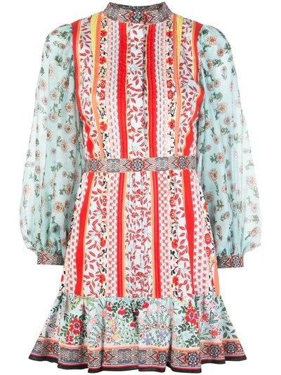 Alice And Olivia Raya Chiffon-trimmed Floral-print Cotton-poplin Mini Dress In Paloma Multi