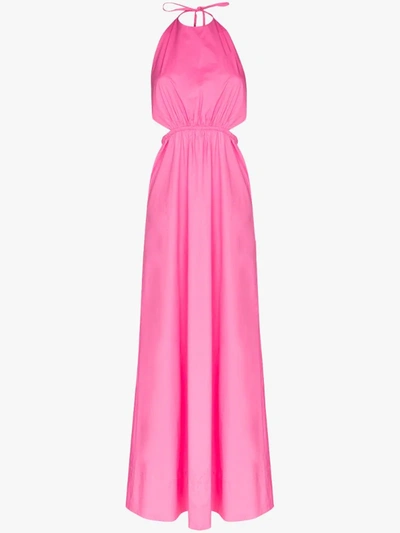 Staud Apfel Cutout Cotton-blend Poplin Halterneck Maxi Dress In Pink