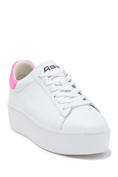 Ash Cult Leather Platform Sneakers In Wht/dpink