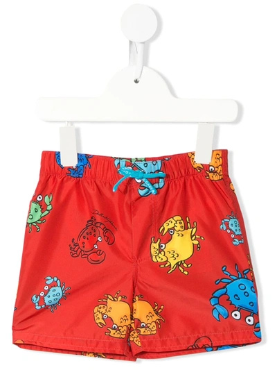 Dolce & Gabbana Babies' Crab Print Swimming Shorts In Red