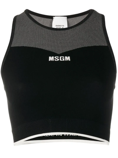 Msgm Logo-print Sports Bra In Black
