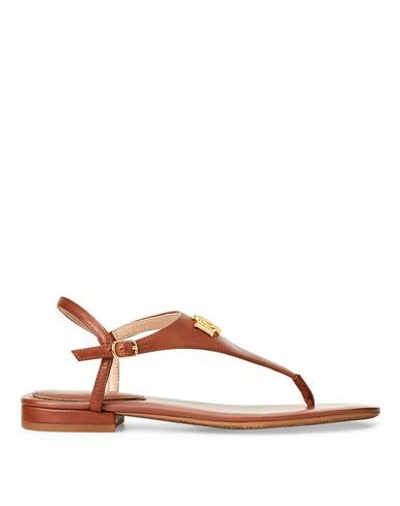 Lauren Ralph Lauren Toe Strap Sandals In Brown