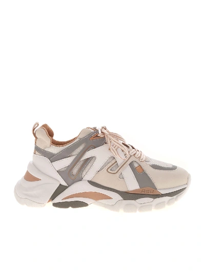 Ash Fl Leather Sneakers In Beige And Grey In White