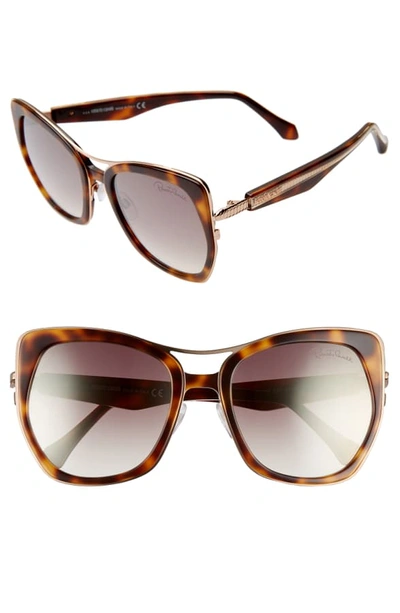 Roberto Cavalli 55mm Gradient Cat Eye Sunglasses In Havana/ Gold/ Brown Mirror
