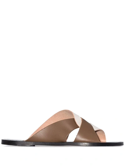 Atp Atelier Brown And White Allai Leather Sandals