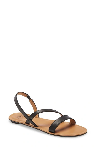 Aquatalia Aria Sandal In Black