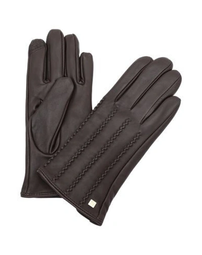 Lauren Ralph Lauren Gloves In Dark Brown