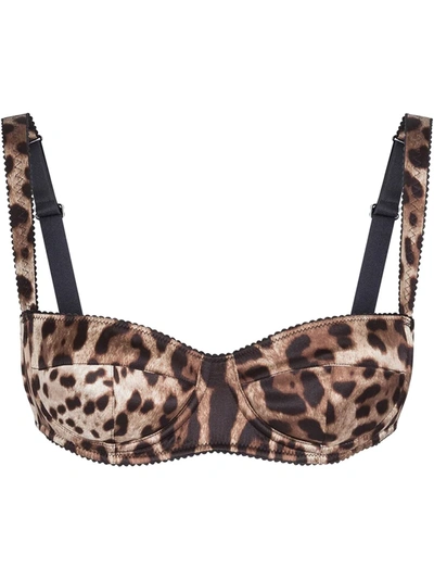 Dolce & Gabbana Leopard-print Padded Triangle Bikini Top In Multi