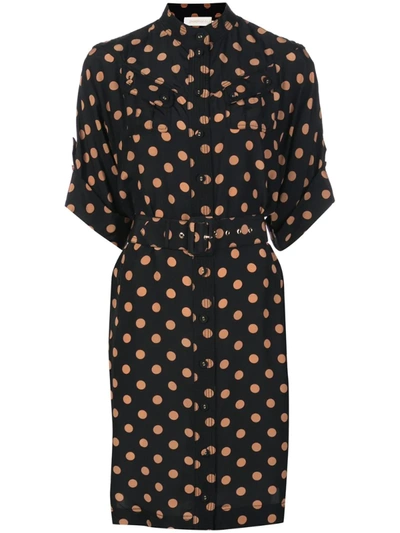 black and tan midi dress Coast Women's Lisa Tan Floral Placement Print Belted Midi Dress in Black | Size: 12