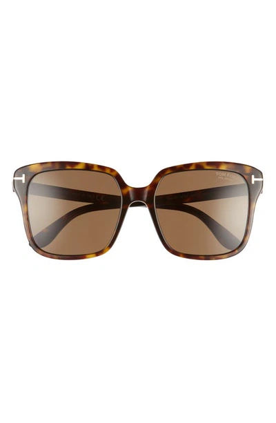 Tom Ford Sari 52mm Geometric Polarized Sunglasses In Dark Havana
