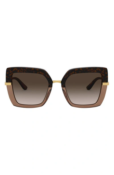 Dolce & Gabbana 52mm Square Sunglasses In Top Havana/ Brown Grad