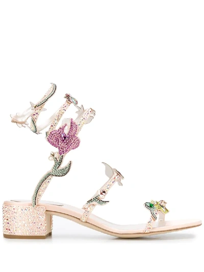 René Caovilla Cleo 40mm Sandals In Pink