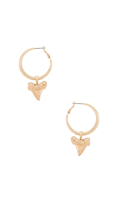 Ettika Tooth Earring In Gold