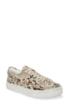 Allsaints Trish Snake Embossed Leather Sneaker In Nude Snake Leather