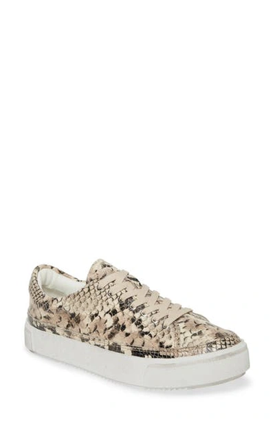 Allsaints Trish Snake Embossed Leather Sneaker In Nude Snake Leather