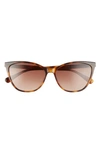 Longchamp Le Pliage 57mm Gradient Cat Eye Sunglasses In Havana