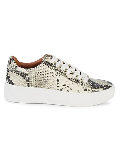 Steve Madden Oleta Embossed Snake-print Sneakers In Natural