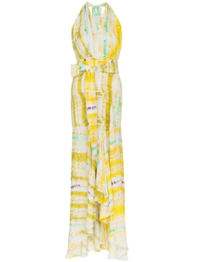 Silvia Tcherassi Ardell Sleeveless V-neck Maxi Dress In Yellow