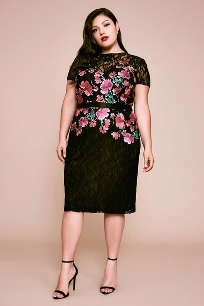 Tadashi Shoji Seda Floral Embroidered Dress - Plus Size In Blossom/black