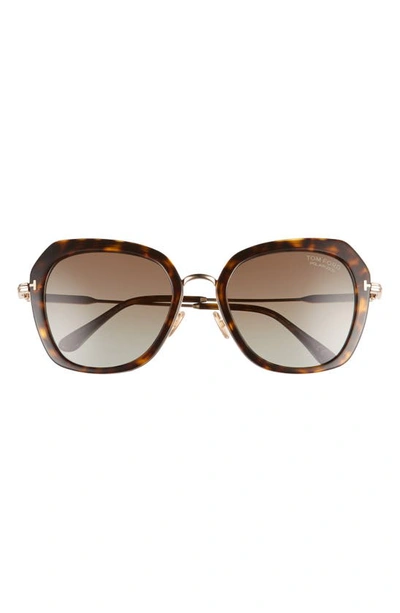 Tom Ford Women's Kenyan Polarized Geometric Sunglasses, 54mm In Dark Havana/brown Polarized