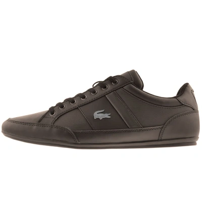Lacoste Chaymon Trainers Brown
