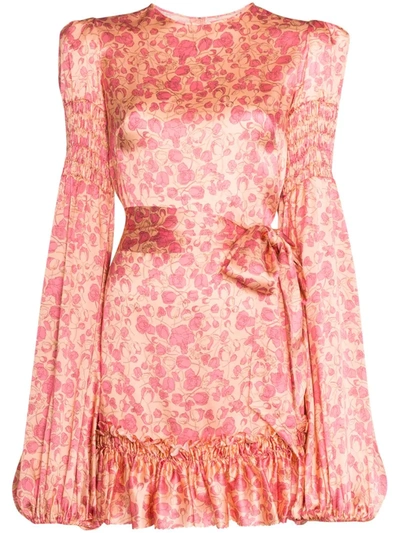 The Vampire's Wife Whole Lotta Frilled Shirred Floral-print Mini Dress In Pink
