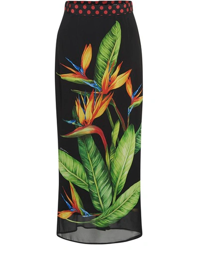 Dolce & Gabbana Printed Slim Pencil Skirt In Strelitzia