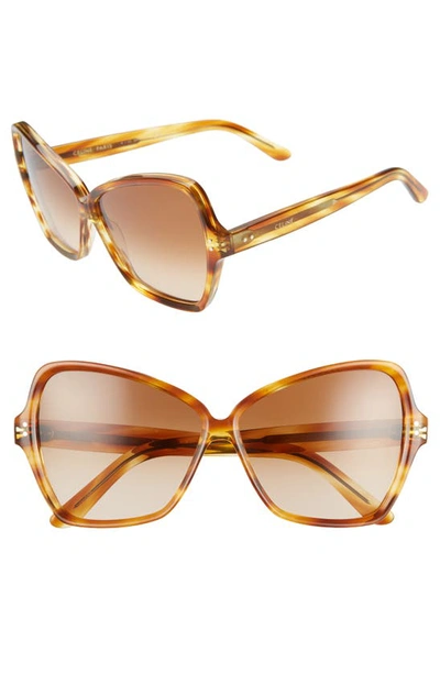 Celine 64mm Oversize Butterfly Sunglasses In Honey Flamed Havana/ Brown
