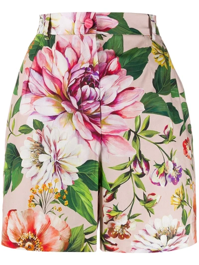 Dolce & Gabbana Floral Print Shorts In Pink