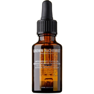 Grown Alchemist 0.8 Oz. Antioxidant+ Facial Oil In Na