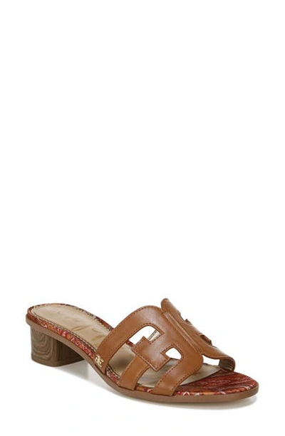 Sam Edelman Illie Logo Slide Sandals Women's Shoes In Saddle Leather