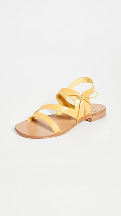 Mansur Gavriel The Sandal In Yellow