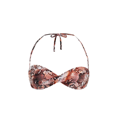 Melissa Odabash Martinique Snake-effect Bikini Top In Brown