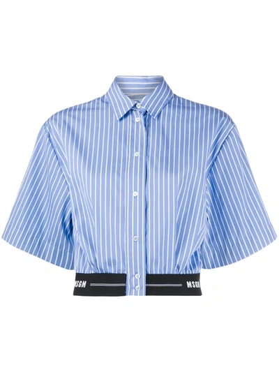 Msgm Striped Crop Short-sleeve Shirt In Blue