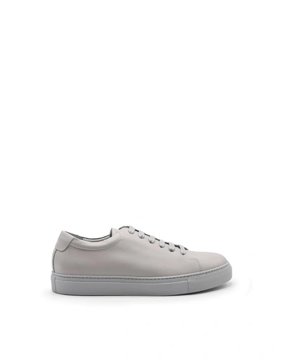 National Standard Men's Grey Leather Sneakers
